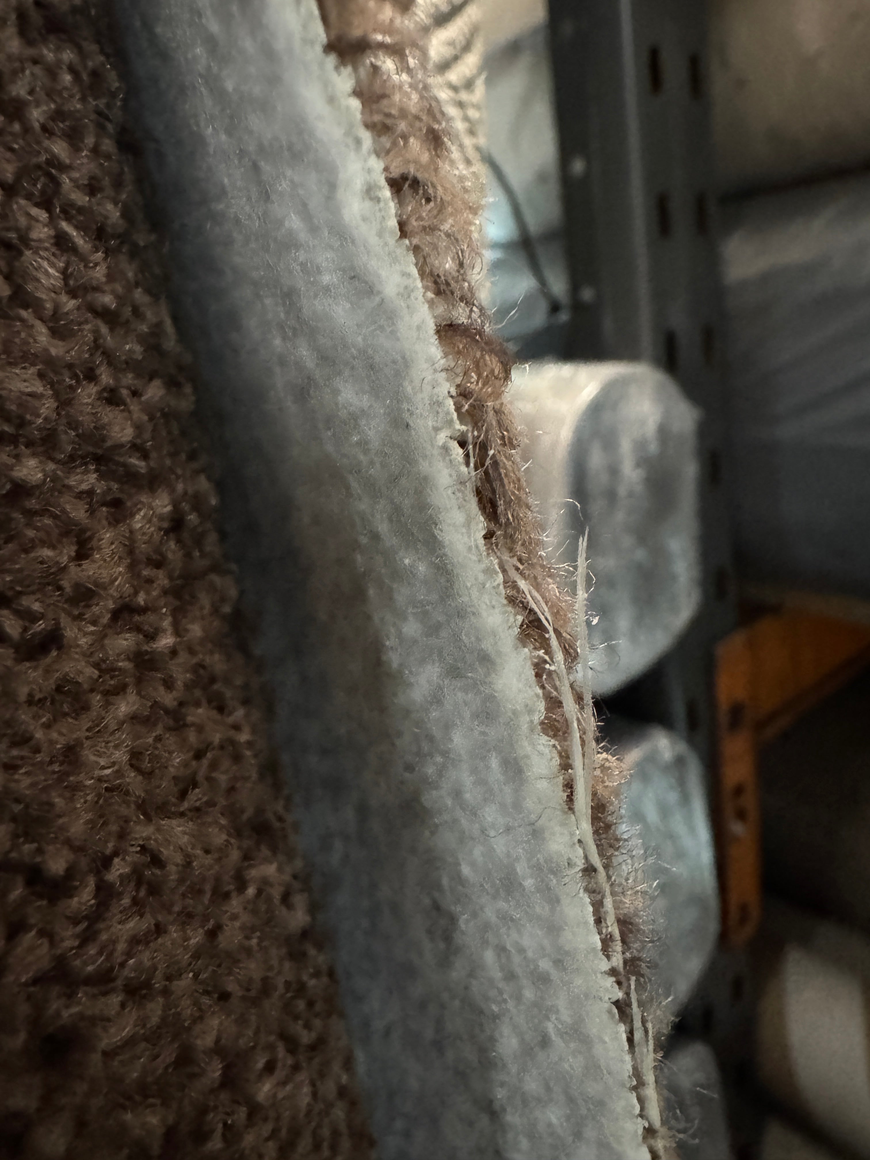 (C19) 5 x 4m (16'4"x13'1") Capet Remnant