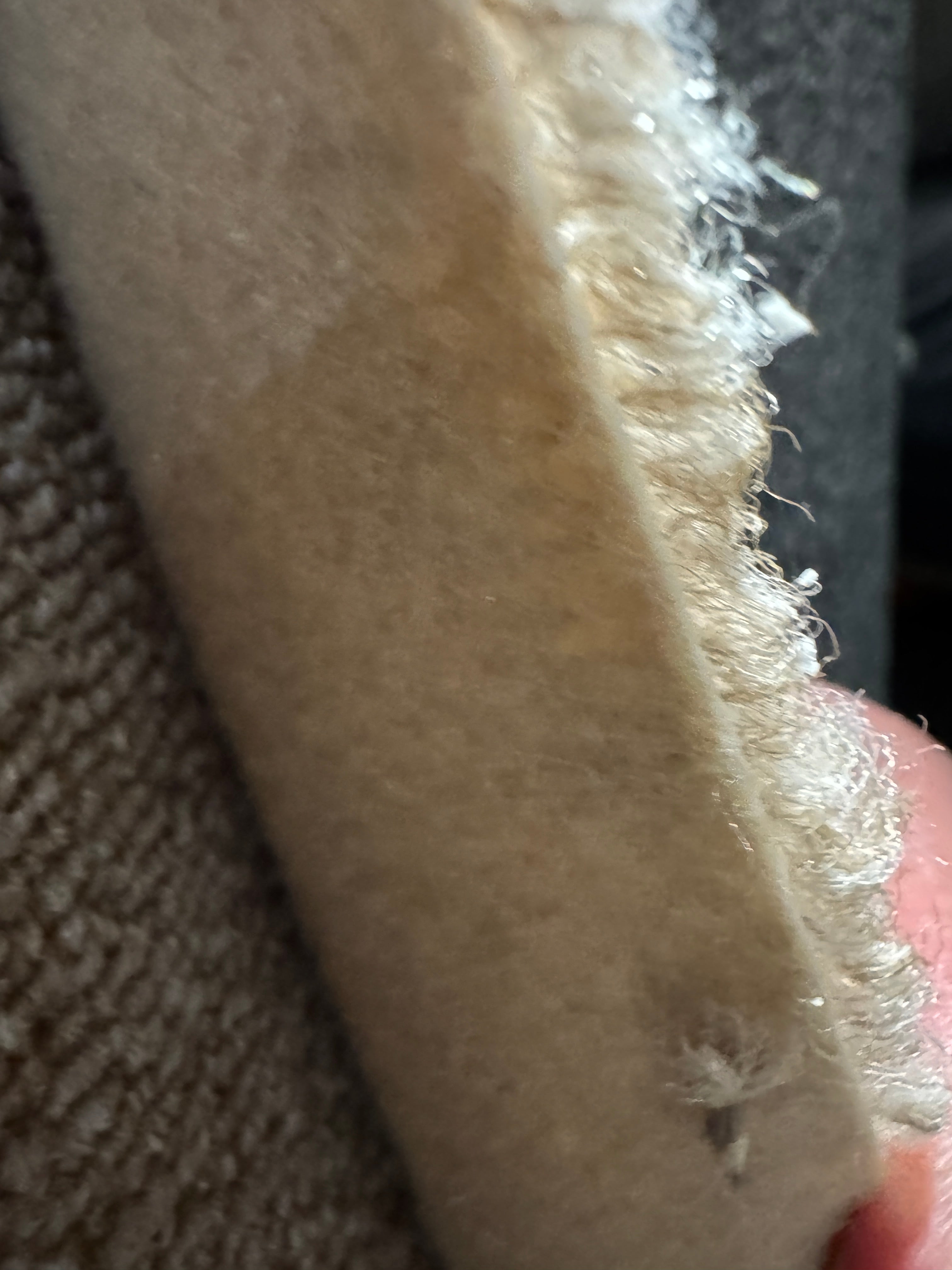 (C21) 4 x 4m (13'1"x13'1") Capet Remnant