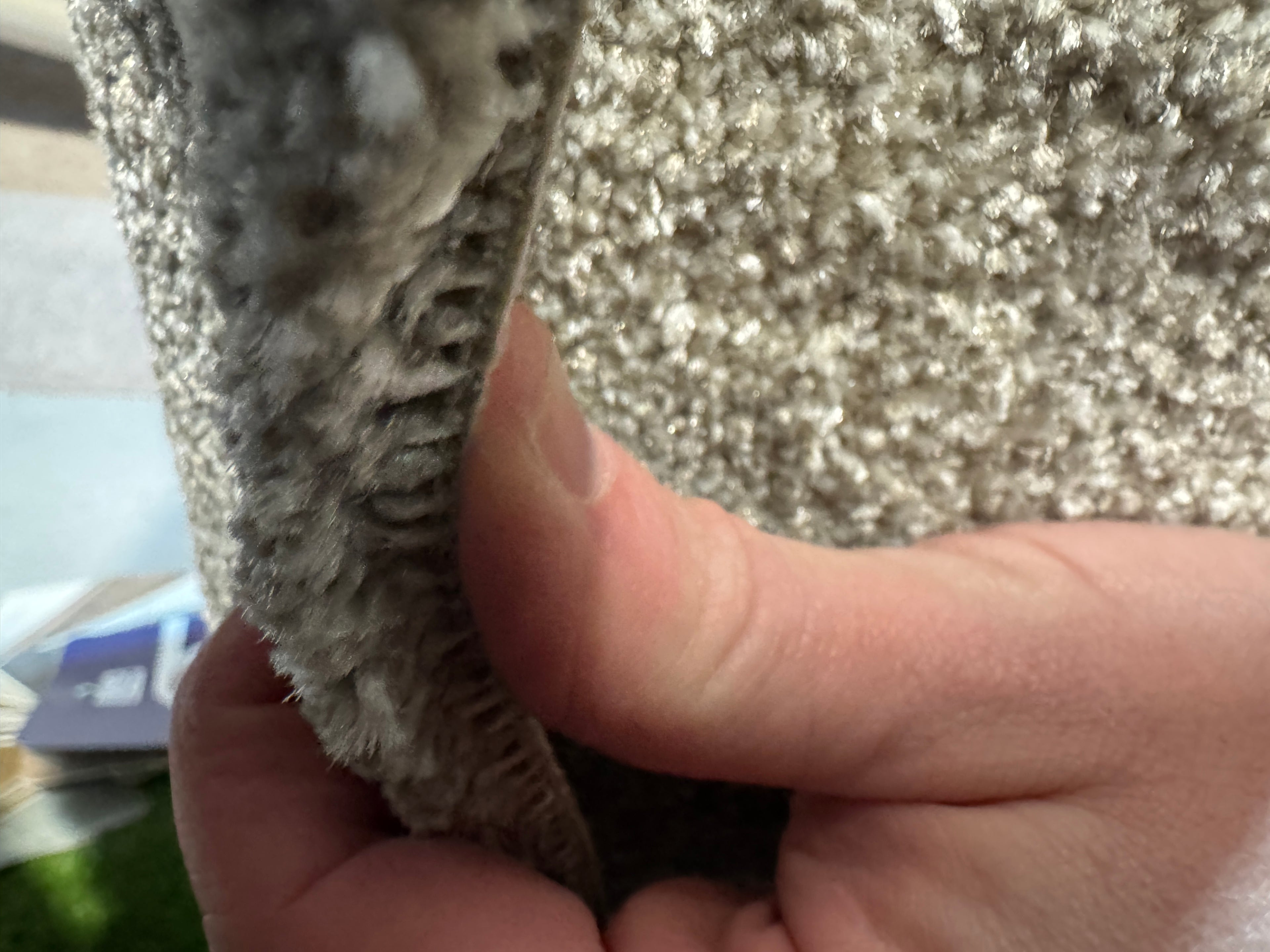 (C22) 2.6 x 4m (8'6"x13'1") Capet Remnant